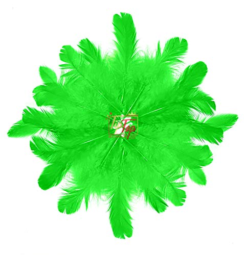 Image of Natural Dyed Feathers 10 cm (80 pieces) (Light Green)