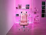 Razer Enki Gaming Chair: All-Day Gaming Comfort - Built-in Lumbar Arch - Optimized Cushion Density - Dual-Textured, Eco-Friendly Synthetic Leather - Reactive Seat Tilt & 152-Degree Recline - Pink