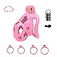 B2-Keuschheitsgürtel Set mit 4 Cockringe Pink Sissy Sex Toy Chastity Cage Atmungsaktiver Keuschheitskäfig mit Invisible Lock Design Mann Cock Bondage BDSM Resin Sexspielzeug (small,Pink)