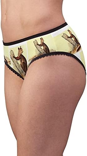The Aye Aye Panties, The Aye Aye Underwear, Briefs, Cotton Briefs, Funny Underwear, Panties For Women