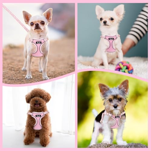 Eyein Hundegeschirr Kleine Hunde mit Leine, Atmungsaktiv Air Mesh Brustgeschirrmit reflektierenden Streifen, Verstellbarer Step-in Geschirr für extra kleine/kleine mittelgroße Hunde (Rosa, XXS)