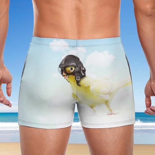 Boxer de bain chat guitariste au motif imprimé haute définition résistant au chlore