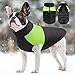 FEimaX Hundemantel für Hunde, Hundejacken Wasserdicht Warme Jacke für Kleine Mittelgroße Große Hunde Winterjacke Warm Gepolstert Welpen Weste Haustier Kleidung für Kaltes Wetter
