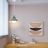 PETITES ECREVISSES B0C4GWRH5F lato 3