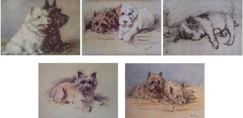 Psy zestaw 5 nadruków - Lucy Dawson - Mac - 39 cm x 30 cm terrier nadruk pies plakat