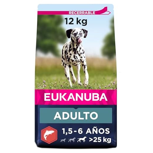Eukanuba Alimento seco para Perros Adultos Grandes, Rico en Salmón y Cebada, 12 kg