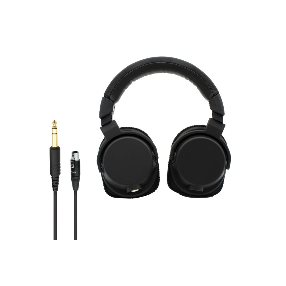 Amazon.co.jp: FitEar Origin-1 [専用カスタムチューニング40mm