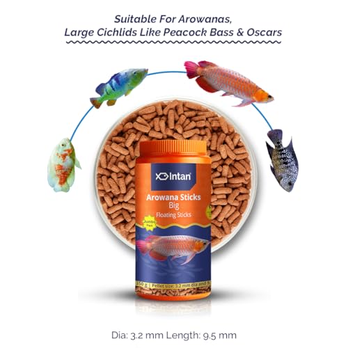 Image of Intan Aquatic Arowana Sticks Fish Food | Big Floating Stick for Arowana Fish | Jumbo Pack 350 Gram Each, Pellet Size 3.2 mm Dia and 9.5 mm Length, Pack of 2, All Life Stages