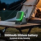 Zoom IMG-1 quorvex altoparlante a induzione per