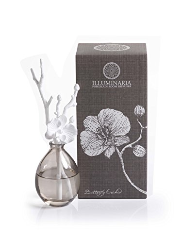 Zodax GbZX Iu WX~ ILLUMINARIA u` fBt[U[