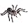 Spider I