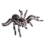 FLORMOON Realistic Animal Figures - Spider Action Model Lifelike Insect Toy Figures - Educational Learning Toys Birthday Gift Set for Boys Girls Kids Toddlers