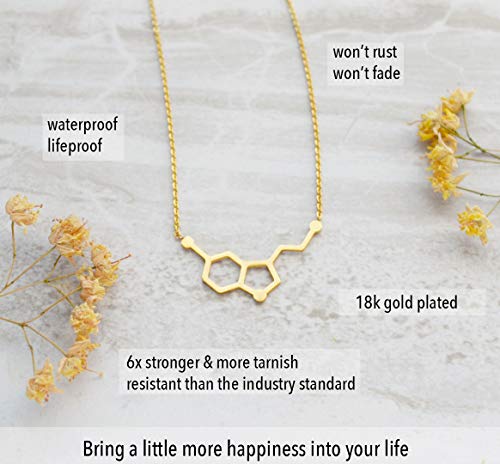 Altitude Boutique Simple Happiness Serotonin Molecule Necklace, Serotonin Neurotransmitter Necklace, Science Jewelry for Science Lovers (Silver, Gold, Rose Gold)4