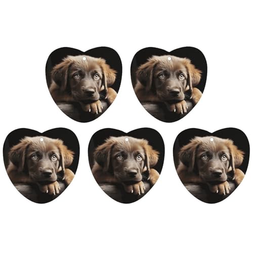 q  F ݂艺`bv 5pbN   ݂艺V[g  z[  CeA  utH[ zCgX^C