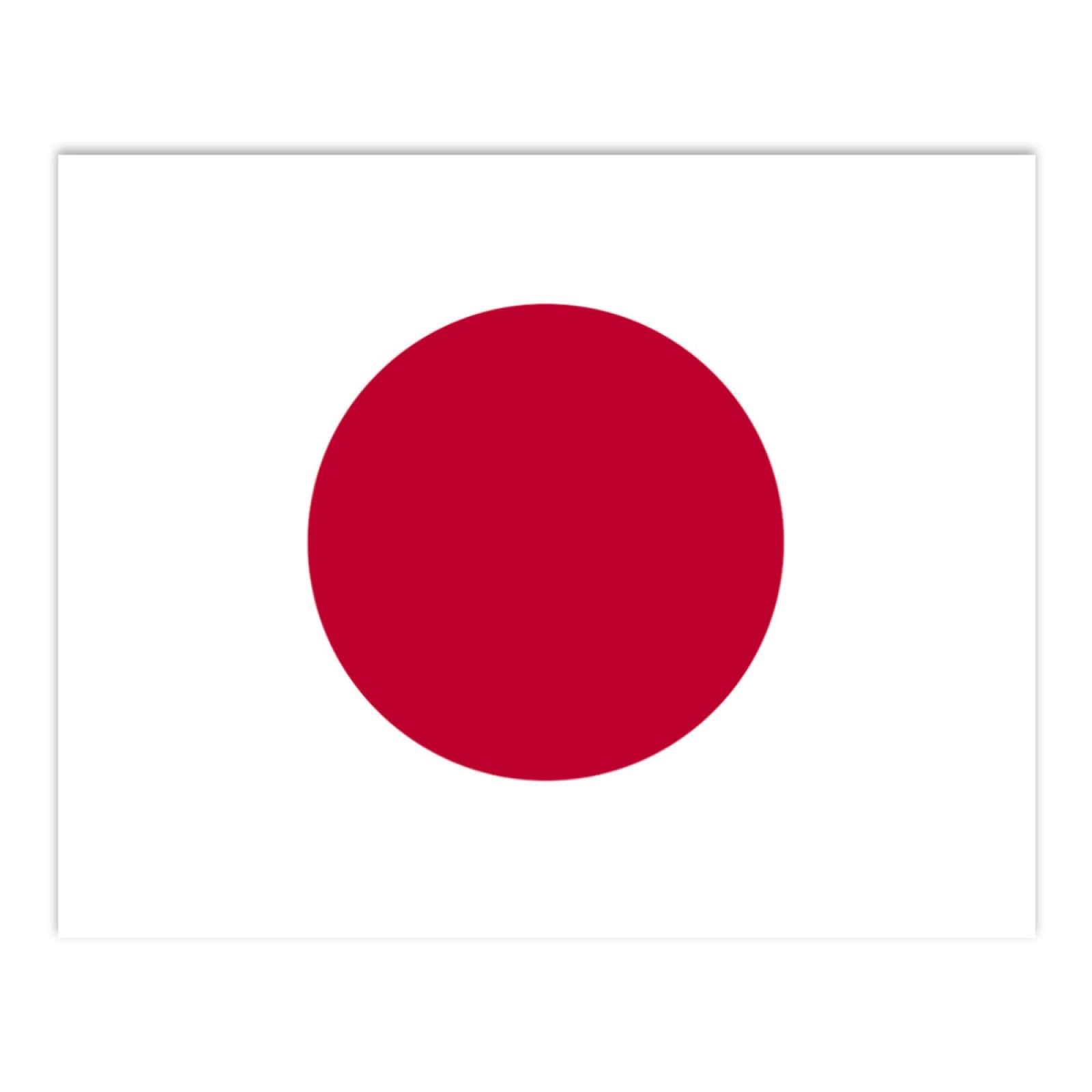 Amazon.co.jp: 数字油絵 日本 国旗 日の丸 旗 ジャパン国旗 DIY 数字