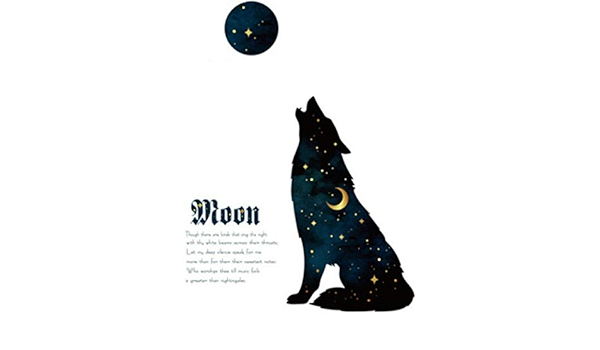 Amazon ウォールステッカー 子供部屋 動物 おしゃれ 黒猫 モノトーン 英字 文字 英語 星 窓 宇宙 かわいい アニマル キュート インテリアステッカー ロック インテリアシール 風景 壁紙 月 シール 棚の上 寝室 ペットショップ かっこいい オオカミ 狼 夜景 夜空 ドア 傷隠