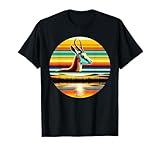 Springbok Sunset Retro Vintage Store