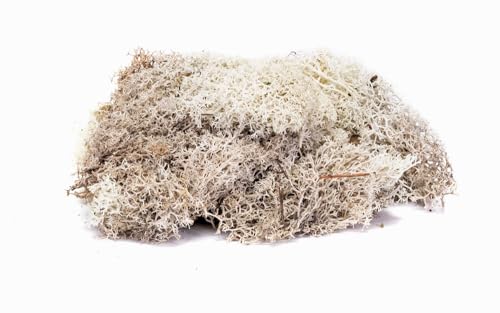 Hornby R7193 Lichen - Stone Grey for Model Railway OO Gauge, Model Train Accessories for Adding Scenery, Dioramas, Woodland, Buildings and More, Model Making Kits - 1:76 Scale Model Accessory