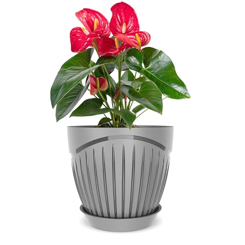 Image of ELUVIA Plastic Plant Pots with Drainage Holes and Trays - Set of 5 (6 Inch) - Minimalist Decorative Indoor Flower Pots for Living Room, Balcony & Office Garden (Grey)