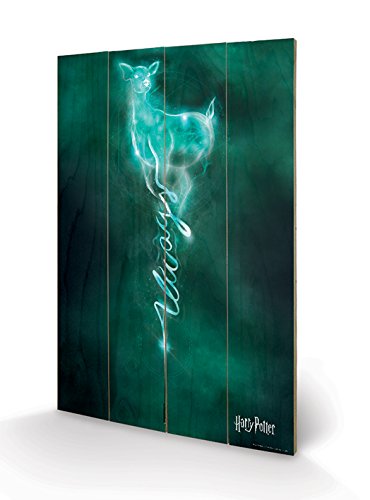 Impression sur bois Harry Potter multicolore pour décorer une chambre de geek ou salon moderne
