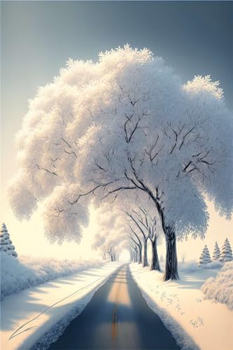 Peinture diamant 5D paysage d'hiver, le cadeau DIY idéal pour adulte créatif