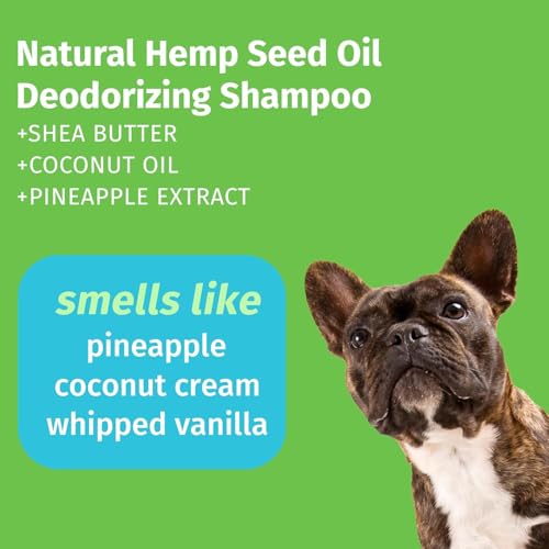 Image of Hempz New Pet Shampoo, Scent, Tropical Pineapple Coconut, 17 Ounce (Pack of 12)