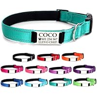 Ibera Gifts - Collar Perro Personalizado con Nombre para