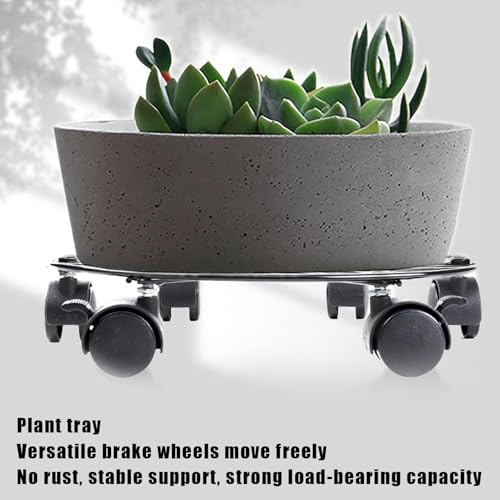 Support de plante avec roulettes en métal robuste pour pot de fleurs
