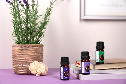 Essences Bulgaria JPV 3 Set Bliss Organic Essential Oils | Rosemary + Sage + Lavender thumb #4