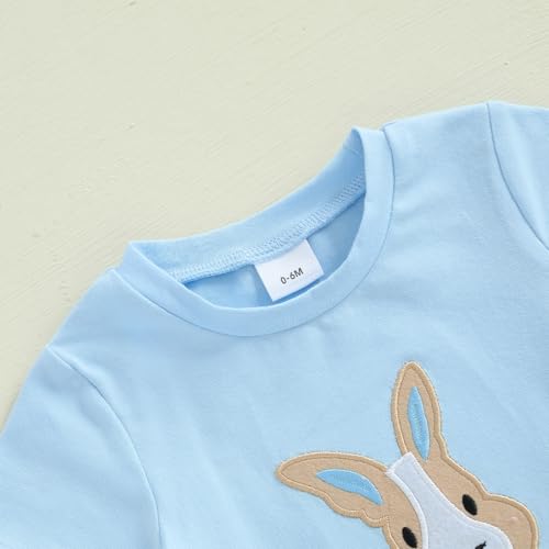 Image of Toddler Baby Boy Easter Rabbit Outfit Short Sleeve Bunny Carrot Smocked T-shirt Elastic Waist Shorts Summer Clothes