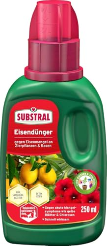 Substral Eisendünger, 250 ml - Flüssigdünger gegen Eisenmangel an Zierpflanzen und Rasen, für Gieß- und Spritzanwendung