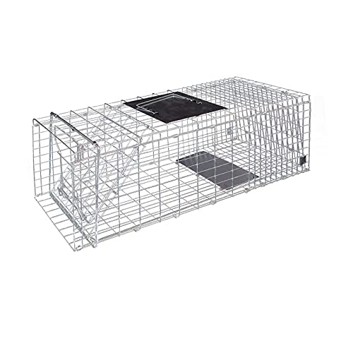 Fkstyle ߊl ݔ STCY MTCY ܂肽 Aj} gbv  Qb 쏜  K[ht y [sAi]