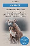 staffordshire bullterrier blau  Amstaff: Ernährung, Erziehung, Pflege, Training und vieles mehr über den American Staffordshire Terrier!