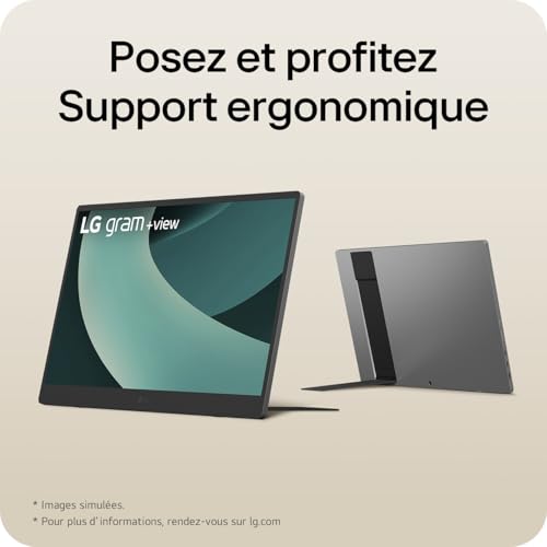 LG Gram +View 17MT70 Ecran PC Portable 17" - Dalle IPS résolution QHD+ (2560x1600) Format 16:10, 60Hz, DCI-P3 99%, USB-C vers. 1.4, étui de Protection/Support fourni, 780g