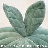 XXIUDEE B0FMRBZNF9 lato 2