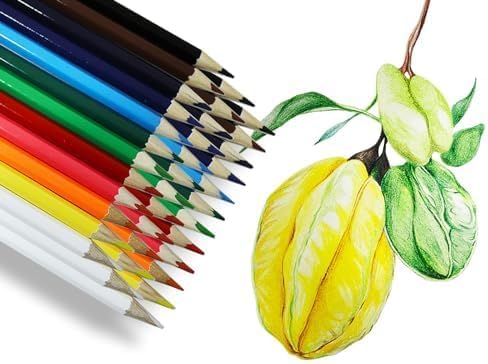 S & E Teacher's Edition 240 lápices de color miniatura 5