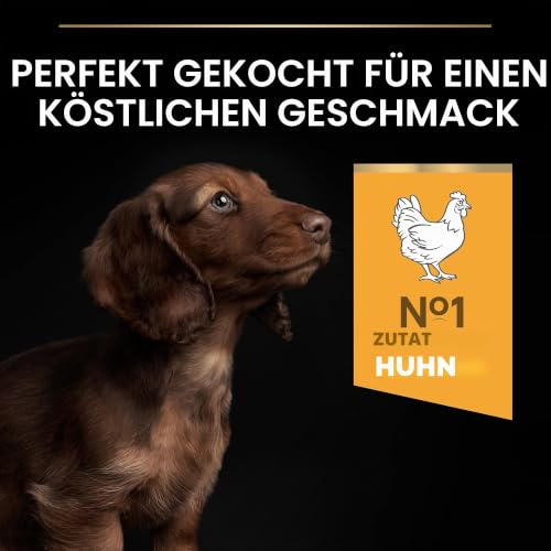 PRO PLAN Small und Mini Puppy Healthy Start, Welpenfutter, 1x3kg