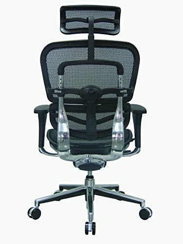 Image of Ergohuman Eurotech Seating High Back Mesh Managers Chair, Green