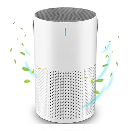 Pequeños purificadores de Aire para el hogar, purificador de Aire Hepa de 5 Capas, purificador de Aire de Escritorio con difusor de Aceite Esencial, 3 velocidades de Viento, Temporizador de 8 Horas