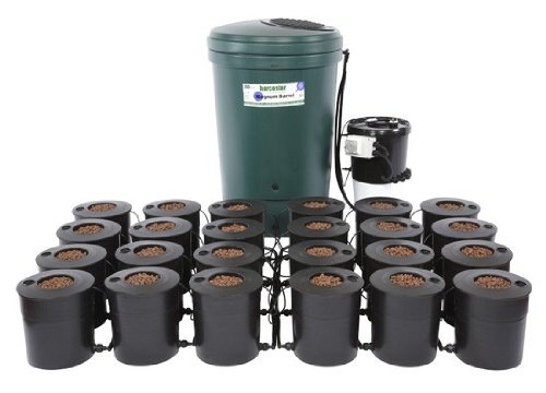 Iws Deep Water Culture 24 Pot System