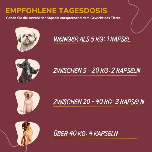 lamina care - Gelenk-Kapseln für Hunde – Mit Grünlippmuschel, Glucosamin & MSM – Natürliche Unterstützung für Gelenke, Hüften & Beweglichkeit - 180 Kapseln