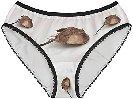 Horseshoe Crab Panties, Horseshoe Crab Underwear, Briefs, Cotton Briefs, Funny Underwear, Panties For Women
