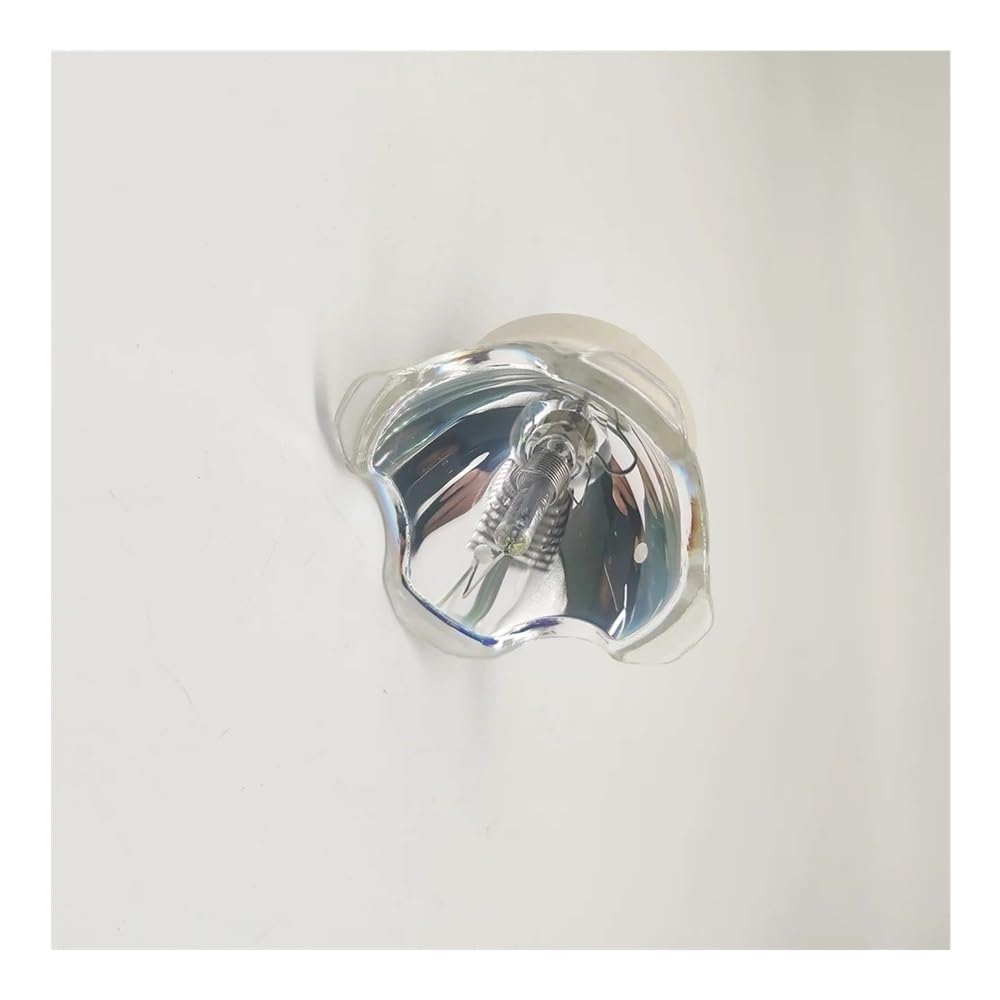 DT01881 Lampada for proiettore adatta for Hitachi CP-WU8700B CP-WU8700W CP-WX8750B CP-X8800B CP-X8800W CP-WX8750W Parti di ricambio(Bulb only)
