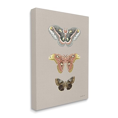 Image of Stupell Industries 'Vintage Moth Specimens'| Canvas Art | Stupell Industries | 24 x 30 Inches, Easy to Hang and Sturdy, Made in USA, by Danhui Nai