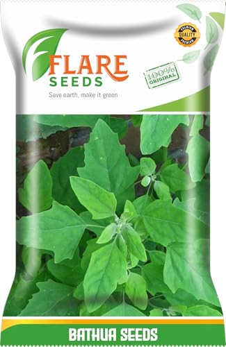 Image of Bathua Seeds, Open Pollinated, Non-GMO, 70% Germination Rate, Premium Vegetable Seeds | Sow and Grow Fresh Healthy Seed in Your Garden Perfect for Home & Terrace [Pack Of 200 Seeds].