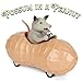 Mcphee Archie Possum in a Peanut Pull Back Toy Car (12967)