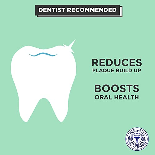 Pur Mints | Sugar Free Mints | 100% Xylitol | Vegan, Aspartame Free, Gluten Free & Keto Friendly | Natural Spearmint Flavored Mints, 20 Pieces (Pack Of 3) #TOP5