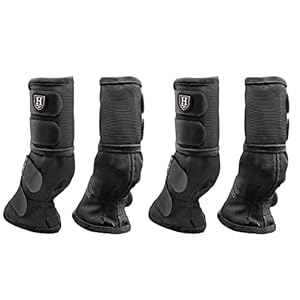 Harrison Howard Horse Fly Boots Perfect Contoured Fit Leg Guards Dense Mesh Boots with Ventilated Comfort Reliable Protection from Summer Elements Set of 4 Classic Black M
