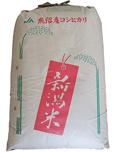 yāzō YRVqJ30kg ߘa7NY V