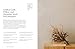 Lasting Impressions: A Guide to Dried Floral Design Featuring More Than 50 Arrangements